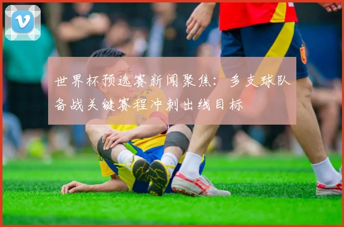 世界杯预选赛新闻聚焦：多支球队备战关键赛程冲刺出线目标