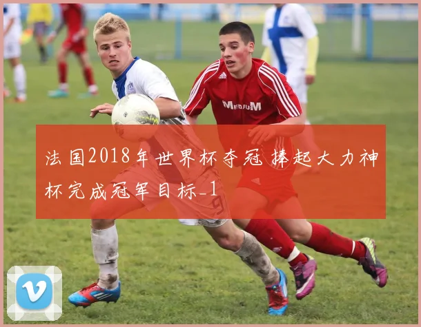 法国2018年世界杯夺冠 捧起大力神杯完成冠军目标_1