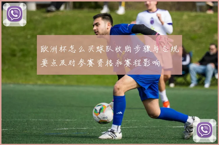 欧洲杯怎么买球队收购步骤与合规要点及对参赛资格和赛程影响