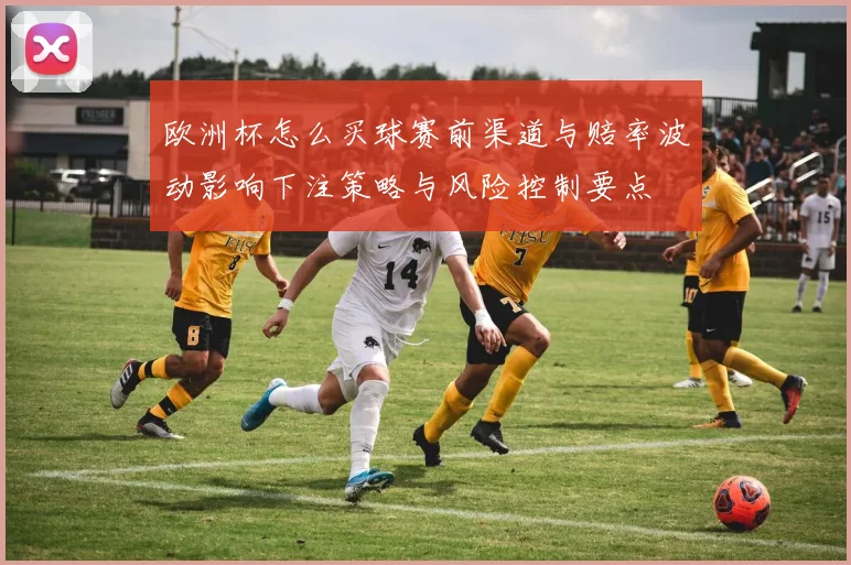 欧洲杯怎么买球赛前渠道与赔率波动影响下注策略与风险控制要点