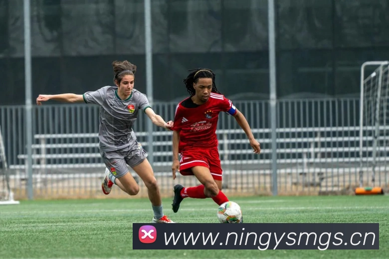 三亿体育平台生态图