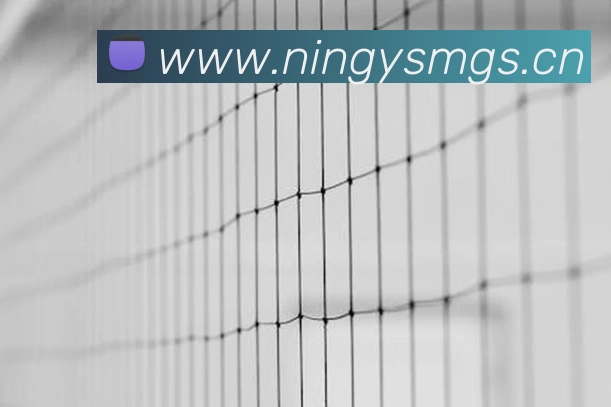 三亿体育APP 封面图